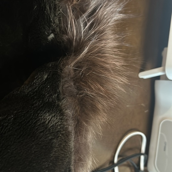 Genuine Suede and Fox Winter Coat - Picture 17 of 17